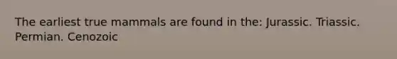 The earliest true mammals are found in the: Jurassic. Triassic. Permian. Cenozoic