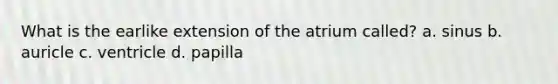 What is the earlike extension of the atrium called? a. sinus b. auricle c. ventricle d. papilla