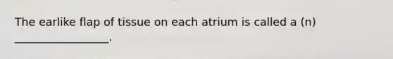 The earlike flap of tissue on each atrium is called a (n) _________________.