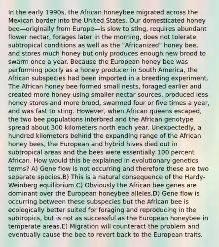 In the early 1990s, the African honeybee migrated across the Mexican border into the United States. Our domesticated honey bee—originally from Europe—is slow to sting, requires abundant flower nectar, forages later in the morning, does not tolerate subtropical conditions as well as the "Africanized" honey bee, and stores much honey but only produces enough new brood to swarm once a year. Because the European honey bee was performing poorly as a honey producer in South America, the African subspecies had been imported in a breeding experiment. The African honey bee formed small nests, foraged earlier and created more honey using smaller nectar sources, produced less honey stores and more brood, swarmed four or five times a year, and was fast to sting. However, when African queens escaped, the two bee populations interbred and the African genotype spread about 300 kilometers north each year. Unexpectedly, a hundred kilometers behind the expanding range of the African honey bees, the European and hybrid hives died out in subtropical areas and the bees were essentially 100 percent African. How would this be explained in evolutionary genetics terms? A) Gene flow is not occurring and therefore these are two separate species.B) This is a natural consequence of the Hardy-Weinberg equilibrium.C) Obviously the African bee genes are dominant over the European honeybee alleles.D) Gene flow is occurring between these subspecies but the African bee is ecologically better suited for foraging and reproducing in the subtropics, but is not as successful as the European honeybee in temperate areas.E) Migration will counteract the problem and eventually cause the bee to revert back to the European traits.