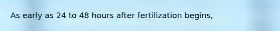 As early as 24 to 48 hours after fertilization begins,