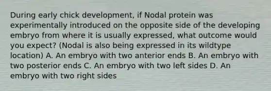 During early chick development, if Nodal protein was experimentally introduced on the opposite side of the developing embryo from where it is usually expressed, what outcome would you expect? (Nodal is also being expressed in its wildtype location) A. An embryo with two anterior ends B. An embryo with two posterior ends C. An embryo with two left sides D. An embryo with two right sides