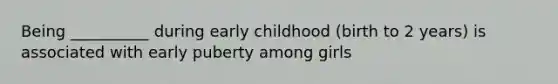 Being __________ during early childhood (birth to 2 years) is associated with early puberty among girls