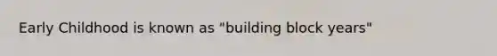 Early Childhood is known as "building block years"