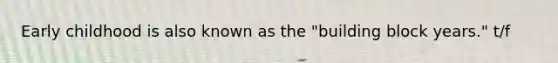 Early childhood is also known as the "building block years." t/f