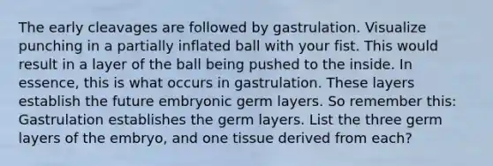 The early cleavages are followed by gastrulation. Visualize punching in a partially inflated ball with your fist. This would result in a layer of the ball being pushed to the inside. In essence, this is what occurs in gastrulation. These layers establish the future embryonic germ layers. So remember this: Gastrulation establishes the germ layers. List the three germ layers of the embryo, and one tissue derived from each?