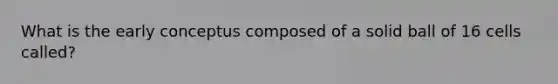 What is the early conceptus composed of a solid ball of 16 cells called?