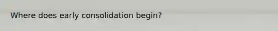Where does early consolidation begin?