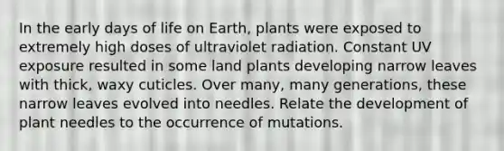 In the early days of life on Earth, plants were exposed to extremely high doses of ultraviolet radiation. Constant UV exposure resulted in some land plants developing narrow leaves with thick, waxy cuticles. Over many, many generations, these narrow leaves evolved into needles. Relate the development of plant needles to the occurrence of mutations.