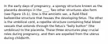 In the early days of pregnancy, a spongy structure known as the placenta develops in the ____. Two other structures also form (see Figure 15-1). One is the amniotic sac, a fluid-filled balloonlike structure that houses the developing fetus. The other is the umbilical cord, a ropelike structure containing fetal blood vessels that extends through the fetus's "belly button" (the umbilicus) to the placenta. These three structures play crucial roles during pregnancy, and then are expelled from the uterus during childbirth.