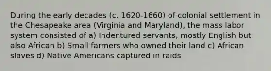 During the early decades (c. 1620-1660) of colonial settlement in the Chesapeake area (Virginia and Maryland), the mass labor system consisted of a) Indentured servants, mostly English but also African b) Small farmers who owned their land c) African slaves d) Native Americans captured in raids