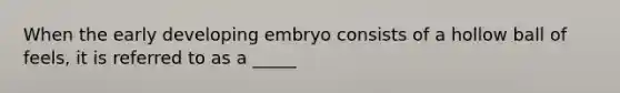 When the early developing embryo consists of a hollow ball of feels, it is referred to as a _____