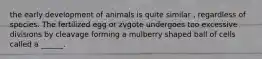 the early development of animals is quite similar , regardless of species. The fertilized egg or zygote undergoes too excessive divisions by cleavage forming a mulberry shaped ball of cells called a ______.