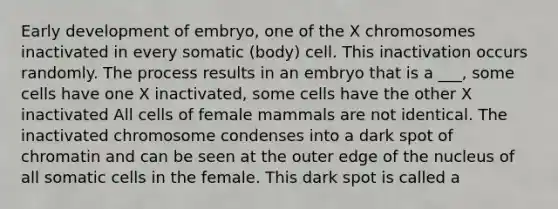 Early development of embryo, one of the X chromosomes inactivated in every somatic (body) cell. This inactivation occurs randomly. The process results in an embryo that is a ___, some cells have one X inactivated, some cells have the other X inactivated All cells of female mammals are not identical. The inactivated chromosome condenses into a dark spot of chromatin and can be seen at the outer edge of the nucleus of all somatic cells in the female. This dark spot is called a