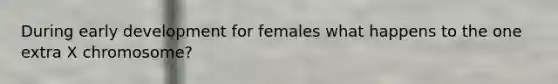 During early development for females what happens to the one extra X chromosome?