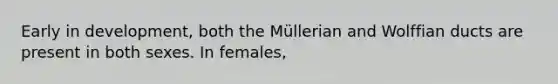 Early in development, both the Müllerian and Wolffian ducts are present in both sexes. In females,