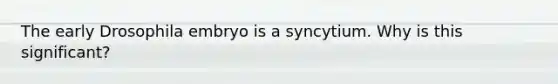 The early Drosophila embryo is a syncytium. Why is this significant?