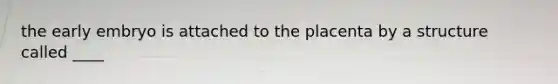 the early embryo is attached to the placenta by a structure called ____