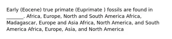 Early (Eocene) true primate (Euprimate ) fossils are found in _______. Africa, Europe, North and South America Africa, Madagascar, Europe and Asia Africa, North America, and South America Africa, Europe, Asia, and North America