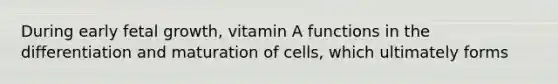 During early fetal growth, vitamin A functions in the differentiation and maturation of cells, which ultimately forms