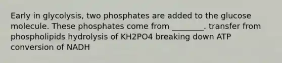 Early in glycolysis, two phosphates are added to the glucose molecule. These phosphates come from ________. transfer from phospholipids hydrolysis of KH2PO4 breaking down ATP conversion of NADH