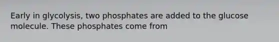 Early in glycolysis, two phosphates are added to the glucose molecule. These phosphates come from