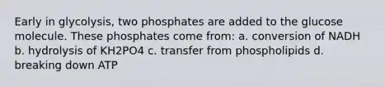 Early in glycolysis, two phosphates are added to the glucose molecule. These phosphates come from: a. conversion of NADH b. hydrolysis of KH2PO4 c. transfer from phospholipids d. breaking down ATP