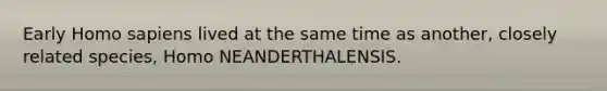 Early Homo sapiens lived at the same time as another, closely related species, Homo NEANDERTHALENSIS.