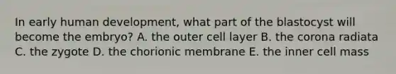 In early human development, what part of the blastocyst will become the embryo? A. the outer cell layer B. the corona radiata C. the zygote D. the chorionic membrane E. the inner cell mass