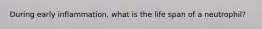 During early inflammation, what is the life span of a neutrophil?