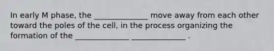 In early M phase, the ______________ move away from each other toward the poles of the cell, in the process organizing the formation of the ______________ ______________ .