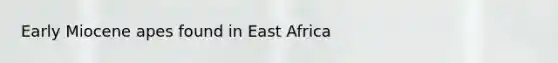 Early Miocene apes found in East Africa