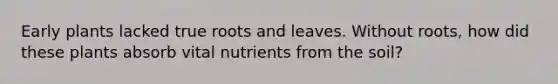 Early plants lacked true roots and leaves. Without roots, how did these plants absorb vital nutrients from the soil?