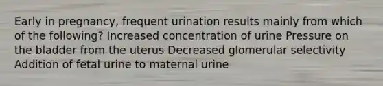 Early in pregnancy, frequent urination results mainly from which of the following? Increased concentration of urine Pressure on the bladder from the uterus Decreased glomerular selectivity Addition of fetal urine to maternal urine