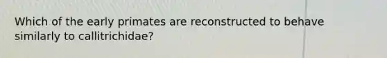 Which of the early primates are reconstructed to behave similarly to callitrichidae?