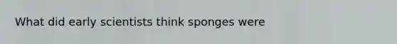 What did early scientists think sponges were