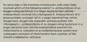 An early step in the evolution of eukaryotic cells most likely involved which of the following events? a. endosymbiosis of an oxygen-using bacterium in a larger bacterial host cell-the endosymbiont evolved into chloroplasts b. endosymbiosis of a photosynthetic archaeal cell in a larger bacterial host cell to escape toxic oxygen-the anaerobic archaea evolved into chloroplasts c. endosymbiosis of an oxygen-using bacterium in a larger bacterial host cell-the endosymbiont evolved into mitochondria d. evolution of an endomembrane system and subsequent evolution of mitochondria from a portion of the smooth endoplasmic reticulum