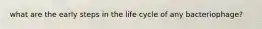 what are the early steps in the life cycle of any bacteriophage?