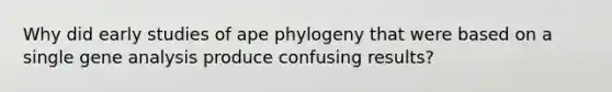 Why did early studies of ape phylogeny that were based on a single gene analysis produce confusing results?