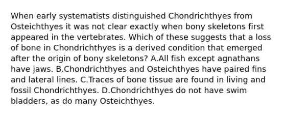 When early systematists distinguished Chondrichthyes from Osteichthyes it was not clear exactly when bony skeletons first appeared in the vertebrates. Which of these suggests that a loss of bone in Chondrichthyes is a derived condition that emerged after the origin of bony skeletons? A.All fish except agnathans have jaws. B.Chondrichthyes and Osteichthyes have paired fins and lateral lines. C.Traces of bone tissue are found in living and fossil Chondrichthyes. D.Chondrichthyes do not have swim bladders, as do many Osteichthyes.