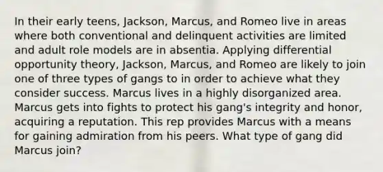 In their early teens, Jackson, Marcus, and Romeo live in areas where both conventional and delinquent activities are limited and adult role models are in absentia. Applying differential opportunity theory, Jackson, Marcus, and Romeo are likely to join one of three types of gangs to in order to achieve what they consider success. Marcus lives in a highly disorganized area. Marcus gets into fights to protect his gang's integrity and honor, acquiring a reputation. This rep provides Marcus with a means for gaining admiration from his peers. What type of gang did Marcus join?