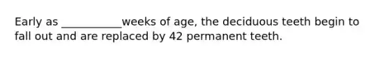 Early as ___________weeks of age, the deciduous teeth begin to fall out and are replaced by 42 permanent teeth.