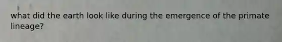 what did the earth look like during the emergence of the primate lineage?
