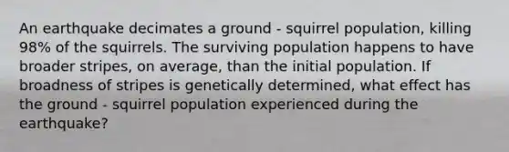 An earthquake decimates a ground - squirrel population, killing 98% of the squirrels. The surviving population happens to have broader stripes, on average, than the initial population. If broadness of stripes is genetically determined, what effect has the ground - squirrel population experienced during the earthquake?