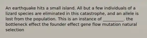 An earthquake hits a small island. All but a few individuals of a lizard species are eliminated in this catastrophe, and an allele is lost from the population. This is an instance of __________. the bottleneck effect the founder effect gene flow mutation natural selection