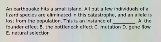 An earthquake hits a small island. All but a few individuals of a lizard species are eliminated in this catastrophe, and an allele is lost from the population. This is an instance of __________. A. the founder effect B. the bottleneck effect C. mutation D. gene flow E. natural selection