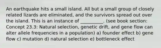 An earthquake hits a small island. All but a small group of closely related lizards are eliminated, and the survivors spread out over the island. This is an instance of __________. (see book section: Concept 23.3: Natural selection, genetic drift, and gene flow can alter allele frequencies in a population) a) founder effect b) gene flow c) mutation d) natural selection e) bottleneck effect