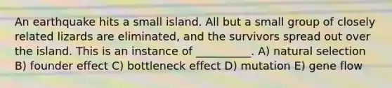 An earthquake hits a small island. All but a small group of closely related lizards are eliminated, and the survivors spread out over the island. This is an instance of __________. A) natural selection B) founder effect C) bottleneck effect D) mutation E) gene flow