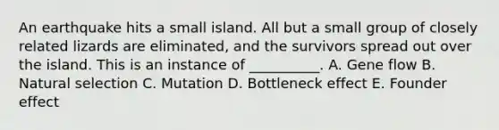 An earthquake hits a small island. All but a small group of closely related lizards are eliminated, and the survivors spread out over the island. This is an instance of __________. A. Gene flow B. Natural selection C. Mutation D. Bottleneck effect E. Founder effect