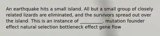 An earthquake hits a small island. All but a small group of closely related lizards are eliminated, and the survivors spread out over the island. This is an instance of __________. mutation founder effect natural selection bottleneck effect gene flow